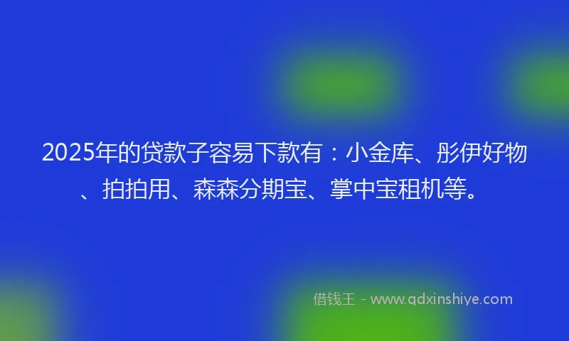2025年的贷款子容易下款有：小金库、彤伊好物、拍拍用、森森分期宝、掌中宝租机等。