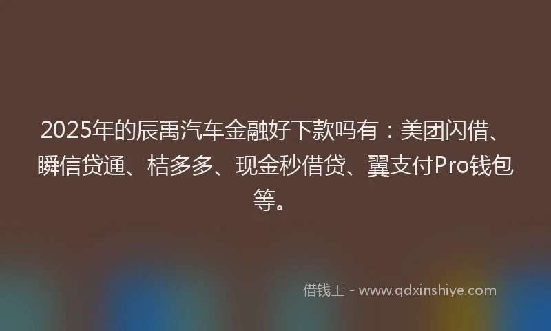 2025年的辰禹汽车金融好下款吗有：美团闪借、瞬信贷通、桔多多、现金秒借贷、翼支付Pro钱包等。