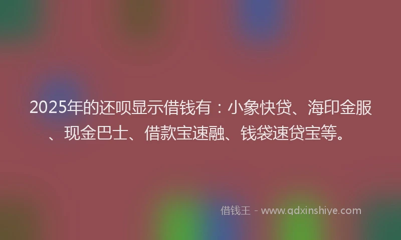 2025年的还呗显示借钱有：小象快贷、海印金服、现金巴士、借款宝速融、钱袋速贷宝等。
