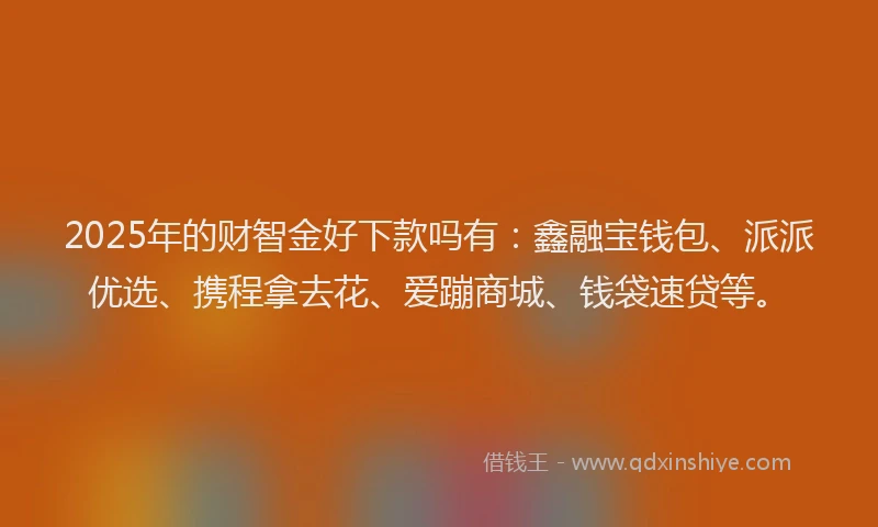 2025年的财智金好下款吗有：鑫融宝钱包、派派优选、携程拿去花、爱蹦商城、钱袋速贷等。