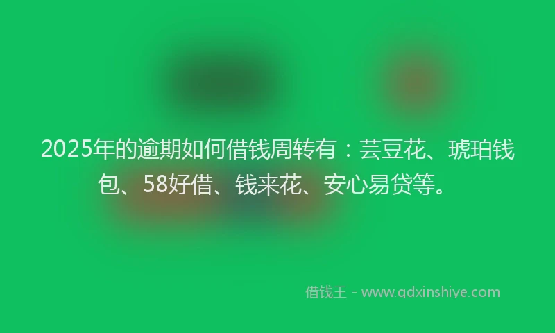 2025年的逾期如何借钱周转有：芸豆花、琥珀钱包、58好借、钱来花、安心易贷等。
