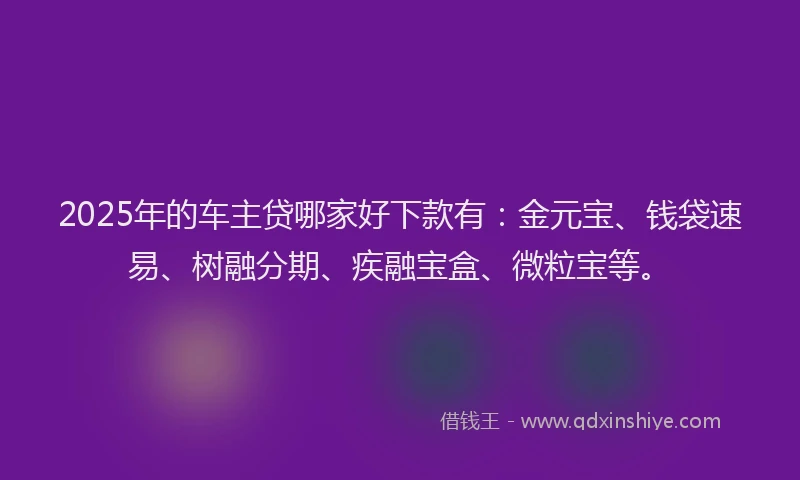 2025年的车主贷哪家好下款有：金元宝、钱袋速易、树融分期、疾融宝盒、微粒宝等。