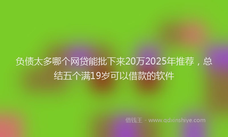 负债太多哪个网贷能批下来20万2025年推荐，总结五个满19岁可以借款的软件