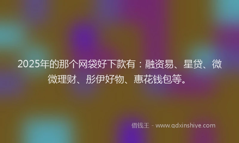 2025年的那个网袋好下款有：融资易、星贷、微微理财、彤伊好物、惠花钱包等。