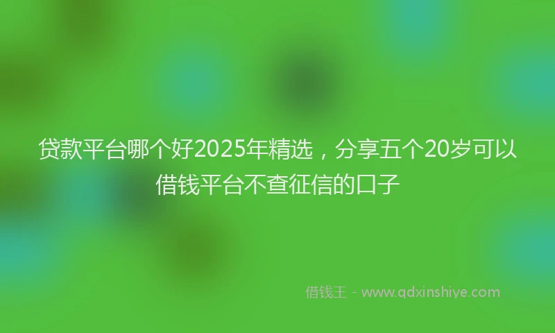 贷款平台哪个好2025年精选，分享五个20岁可以借钱平台不查征信的口子