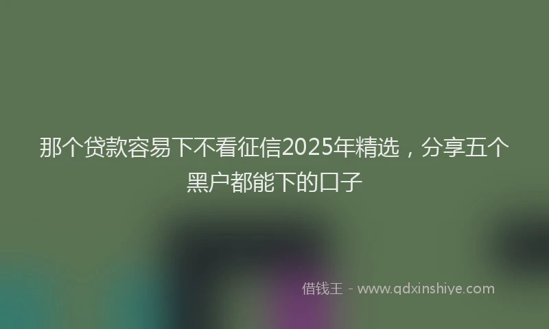那个贷款容易下不看征信2025年精选，分享五个黑户都能下的口子