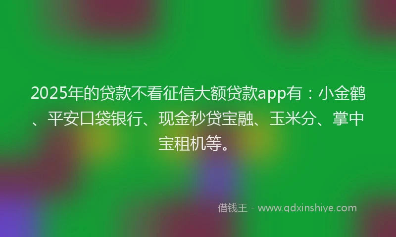 2025年的贷款不看征信大额贷款app有：小金鹤、平安口袋银行、现金秒贷宝融、玉米分、掌中宝租机等。