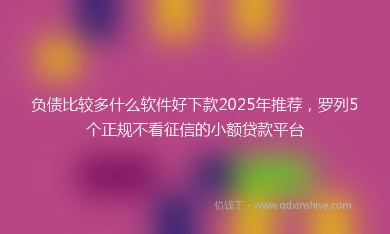 负债比较多什么软件好下款2025年推荐，罗列5个正规不看征信的小额贷款平台