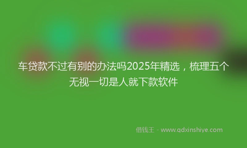 车贷款不过有别的办法吗2025年精选，梳理五个无视一切是人就下款软件