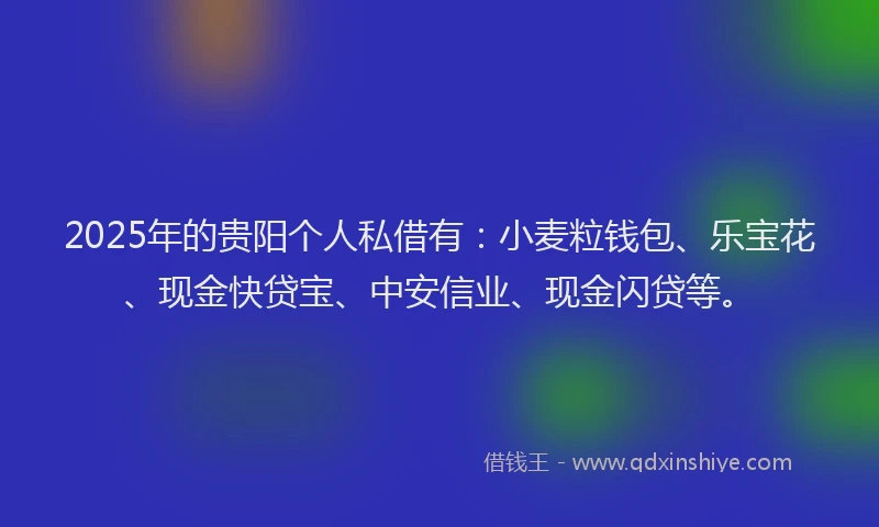 2025年的贵阳个人私借有：小麦粒钱包、乐宝花、现金快贷宝、中安信业、现金闪贷等。