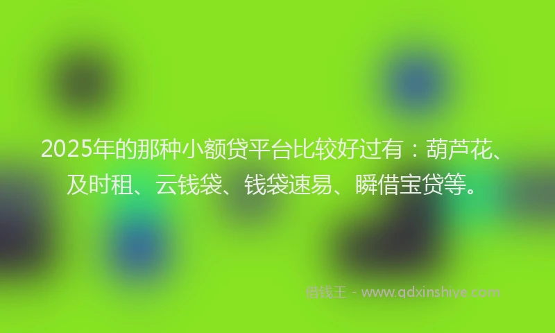2025年的那种小额贷平台比较好过有：葫芦花、及时租、云钱袋、钱袋速易、瞬借宝贷等。