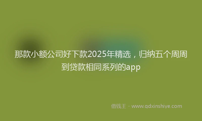那款小额公司好下款2025年精选，归纳五个周周到贷款相同系列的app