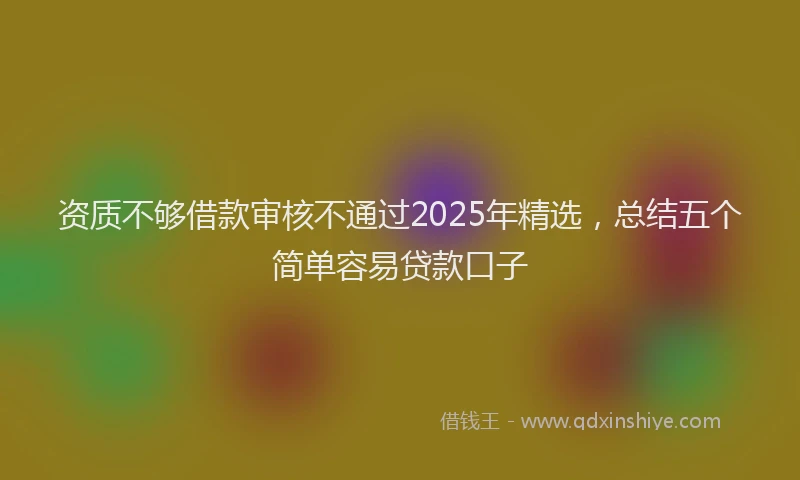 资质不够借款审核不通过2025年精选，总结五个简单容易贷款口子