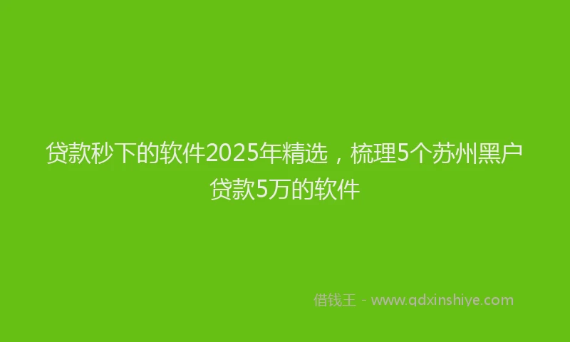 贷款秒下的软件2025年精选，梳理5个苏州黑户贷款5万的软件