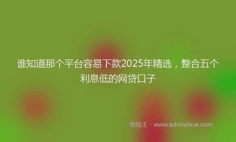 谁知道那个平台容易下款2025年精选，整合五个利息低的网贷口子