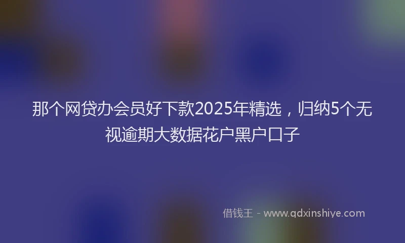 那个网贷办会员好下款2025年精选，归纳5个无视逾期大数据花户黑户口子