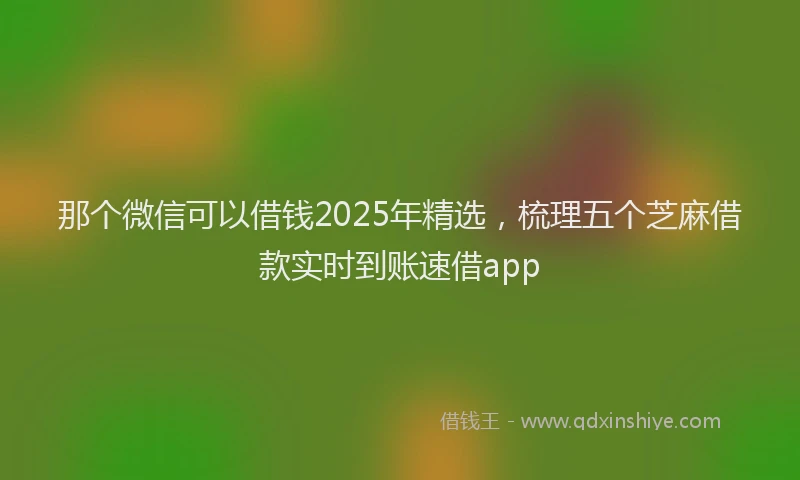 那个微信可以借钱2025年精选，梳理五个芝麻借款实时到账速借app