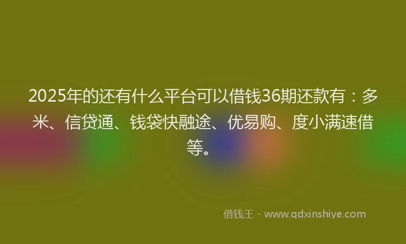 2025年的还有什么平台可以借钱36期还款有：多米、信贷通、钱袋快融途、优易购、度小满速借等。