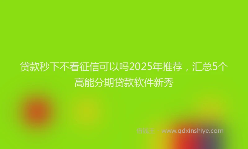 贷款秒下不看征信可以吗2025年推荐，汇总5个高能分期贷款软件新秀