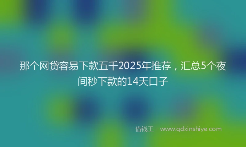 那个网贷容易下款五千2025年推荐，汇总5个夜间秒下款的14天口子