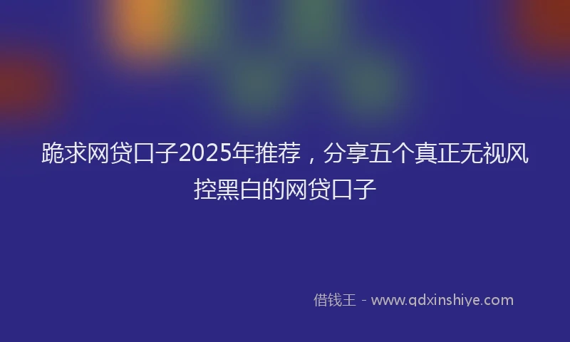 跪求网贷口子2025年推荐，分享五个真正无视风控黑白的网贷口子