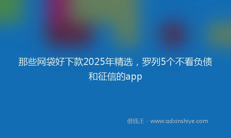 那些网袋好下款2025年精选，罗列5个不看负债和征信的app