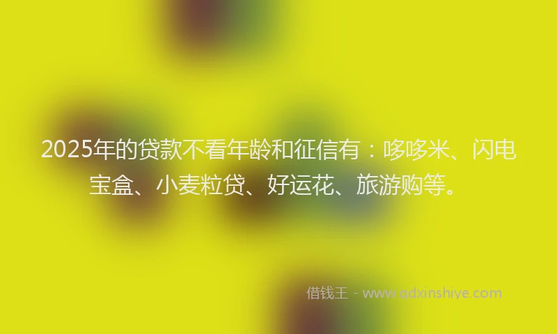 2025年的贷款不看年龄和征信有：哆哆米、闪电宝盒、小麦粒贷、好运花、旅游购等。
