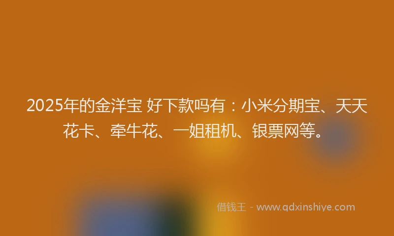 2025年的金洋宝 好下款吗有：小米分期宝、天天花卡、牵牛花、一姐租机、银票网等。