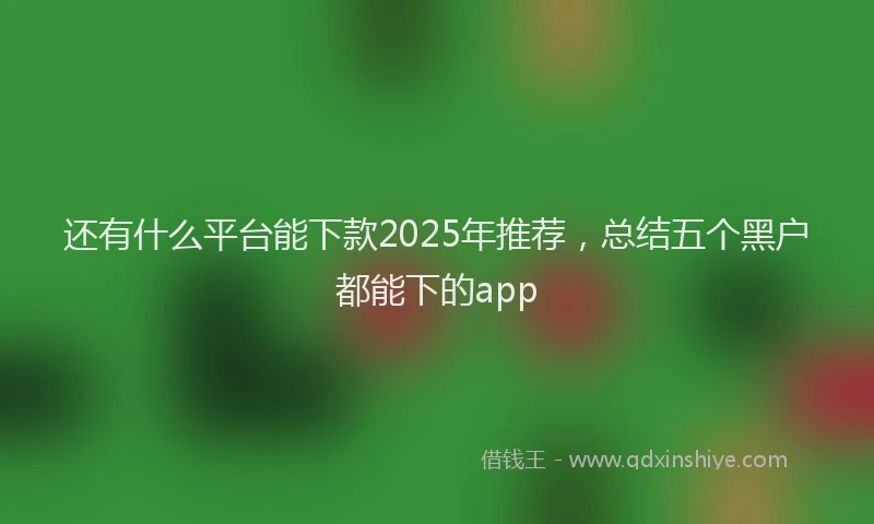 还有什么平台能下款2025年推荐，总结五个黑户都能下的app