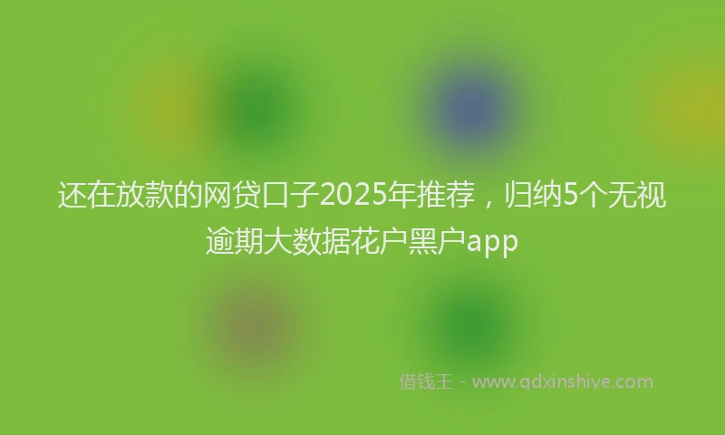 还在放款的网贷口子2025年推荐，归纳5个无视逾期大数据花户黑户app