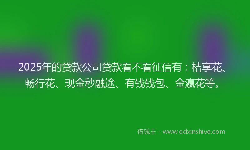 2025年的贷款公司贷款看不看征信有：桔享花、畅行花、现金秒融途、有钱钱包、金瀛花等。