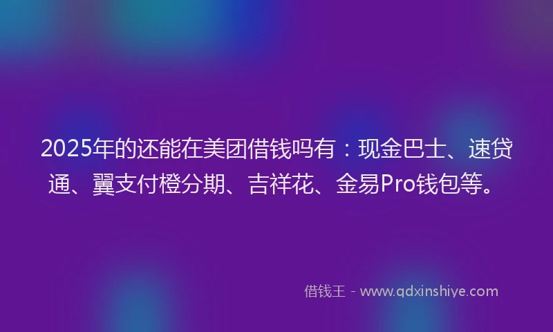 2025年的还能在美团借钱吗有：现金巴士、速贷通、翼支付橙分期、吉祥花、金易Pro钱包等。