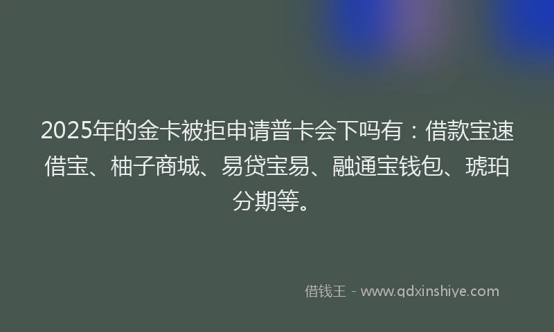 2025年的金卡被拒申请普卡会下吗有：借款宝速借宝、柚子商城、易贷宝易、融通宝钱包、琥珀分期等。