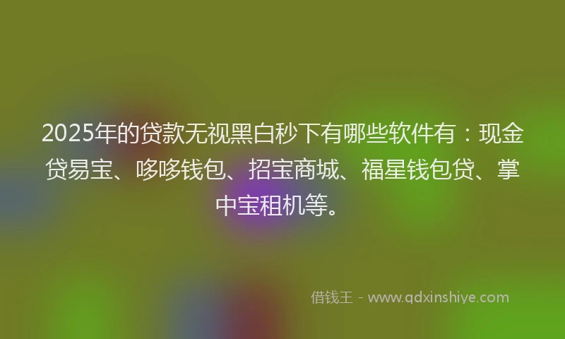 2025年的贷款无视黑白秒下有哪些软件有：现金贷易宝、哆哆钱包、招宝商城、福星钱包贷、掌中宝租机等。