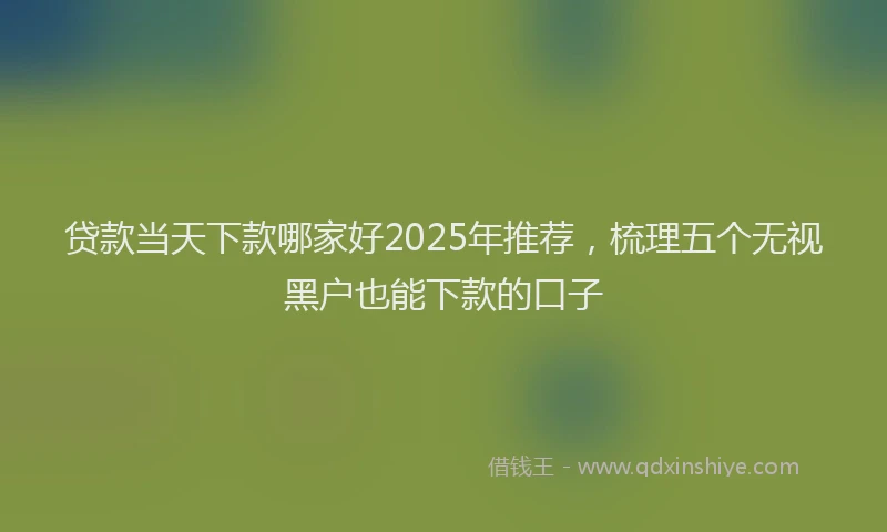 贷款当天下款哪家好2025年推荐，梳理五个无视黑户也能下款的口子
