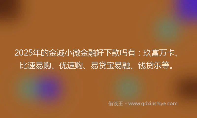 2025年的金诚小微金融好下款吗有：玖富万卡、比速易购、优速购、易贷宝易融、钱贷乐等。