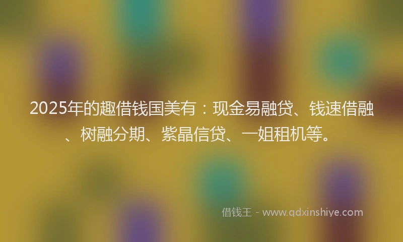 2025年的趣借钱国美有：现金易融贷、钱速借融、树融分期、紫晶信贷、一姐租机等。