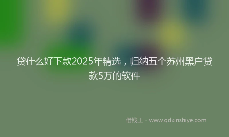 贷什么好下款2025年精选，归纳五个苏州黑户贷款5万的软件