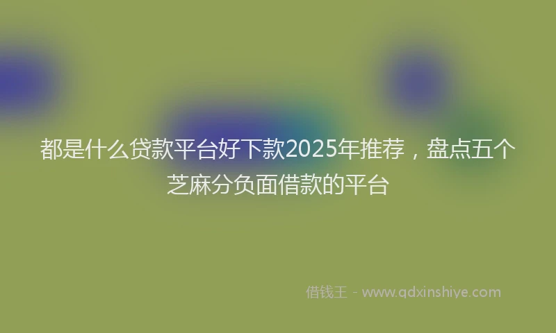 都是什么贷款平台好下款2025年推荐，盘点五个芝麻分负面借款的平台