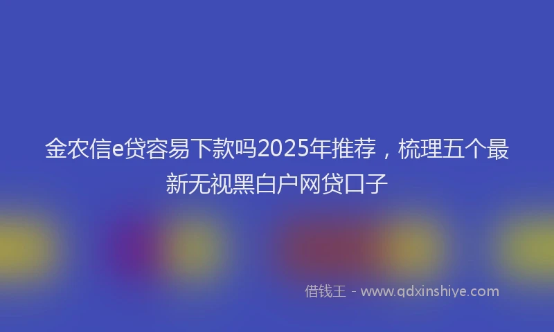 金农信e贷容易下款吗2025年推荐，梳理五个最新无视黑白户网贷口子