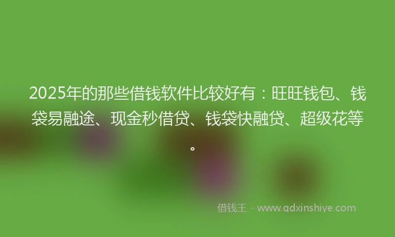 2025年的那些借钱软件比较好有：旺旺钱包、钱袋易融途、现金秒借贷、钱袋快融贷、超级花等。
