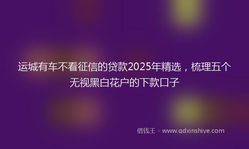 运城有车不看征信的贷款2025年精选，梳理五个无视黑白花户的下款口子