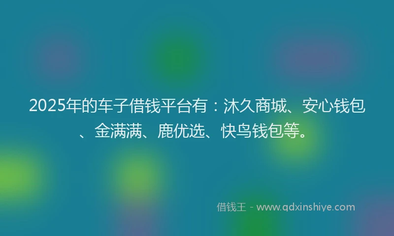 2025年的车子借钱平台有：沐久商城、安心钱包、金满满、鹿优选、快鸟钱包等。
