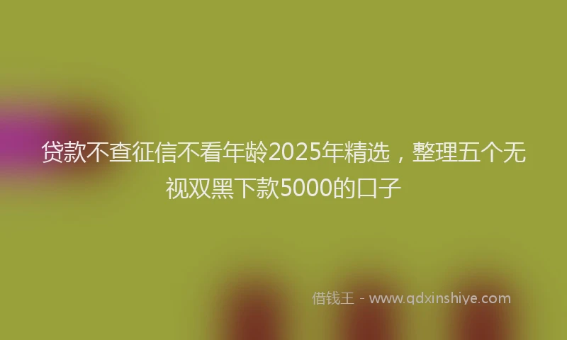 贷款不查征信不看年龄2025年精选，整理五个无视双黑下款5000的口子