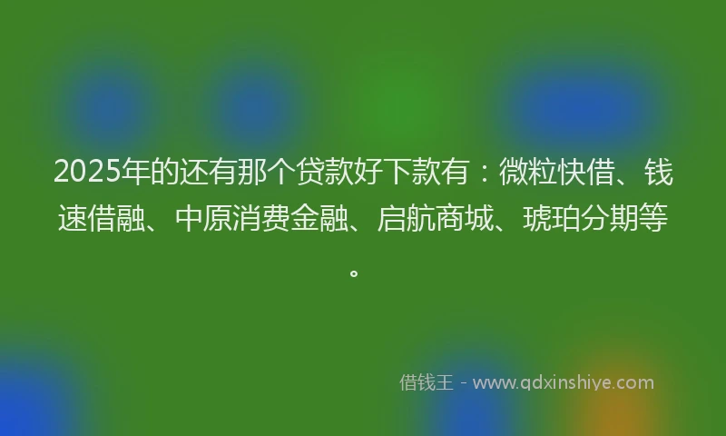2025年的还有那个贷款好下款有：微粒快借、钱速借融、中原消费金融、启航商城、琥珀分期等。