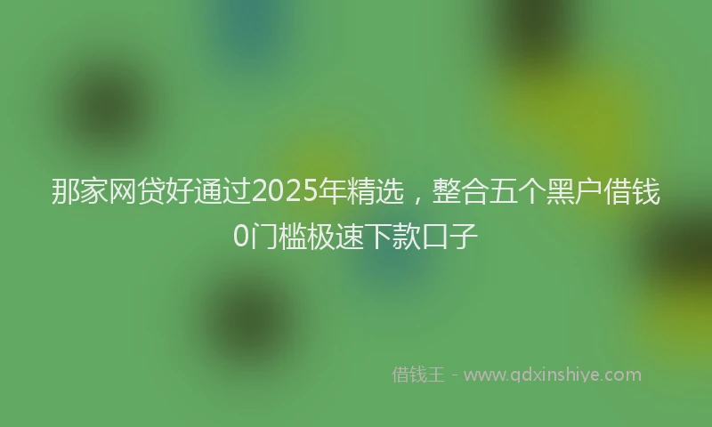 那家网贷好通过2025年精选，整合五个黑户借钱0门槛极速下款口子