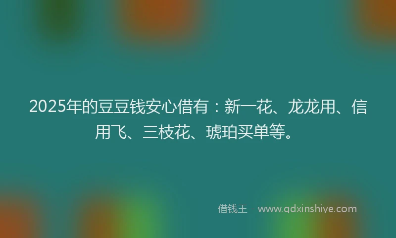 2025年的豆豆钱安心借有：新一花、龙龙用、信用飞、三枝花、琥珀买单等。