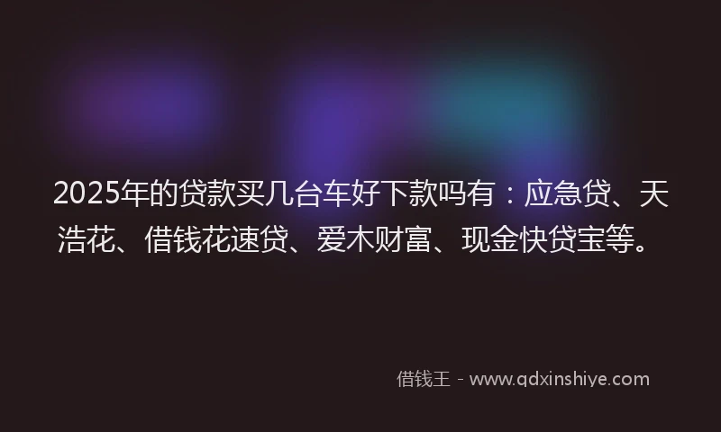 2025年的贷款买几台车好下款吗有：应急贷、天浩花、借钱花速贷、爱木财富、现金快贷宝等。