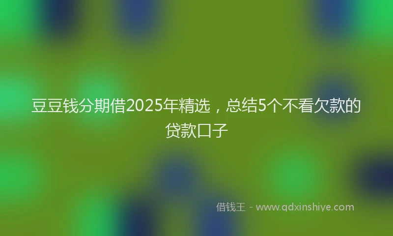 豆豆钱分期借2025年精选，总结5个不看欠款的贷款口子