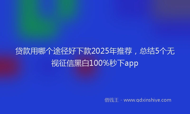贷款用哪个途径好下款2025年推荐，总结5个无视征信黑白100%秒下app